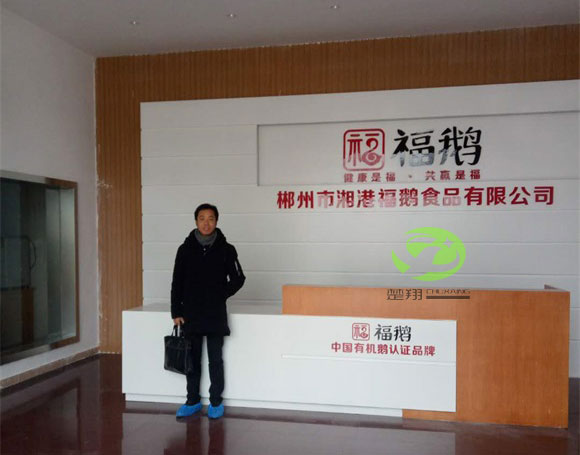 郴州福鹅食品91视频APPWWW车间装修工程(图2)