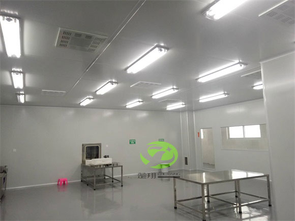 郴州福鹅食品91视频APPWWW车间装修工程(图4)