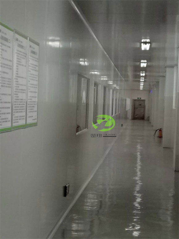 郴州福鹅食品91视频APPWWW车间装修工程(图10)